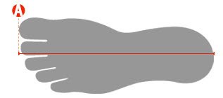 Women’s Shoes Size Chart