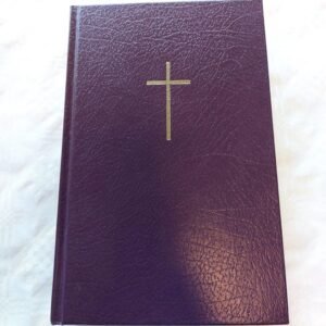 20230809-112507-scaled