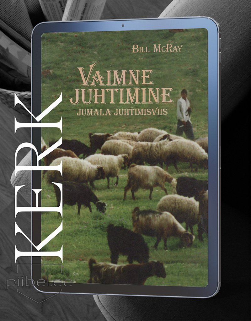 vaimne juhtimine: Jumala juhtimisviis - Bill McRay - E-raamat